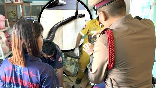 1761717429676-pria-thailand-tewas-digigit-cobra-1761696630892_169