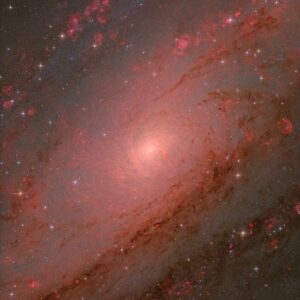 1761975812951-zwo-astronomy-photographer-of-the-year-2025-1761971882199