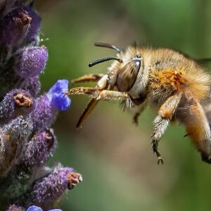 1762235392818-1313100355_169