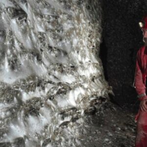 1762451254820-jaring-laba-aba-raksasa-1762418828061