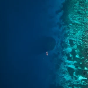 1763249010927-terumbu-karang-sebesar-dua-lapangan-basket-1