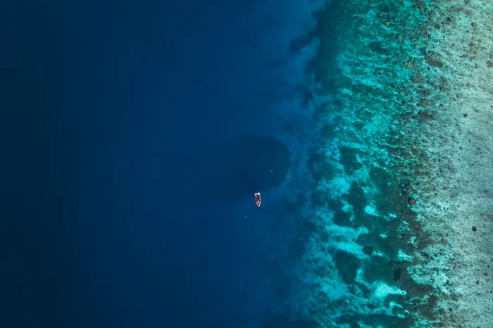 1763249010927-terumbu-karang-sebesar-dua-lapangan-basket-1