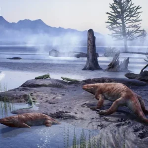 1763358948221-jejak-dunia-yang-hilang-2