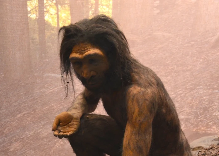 1763359056174-spesies-manusia-baru-di-china