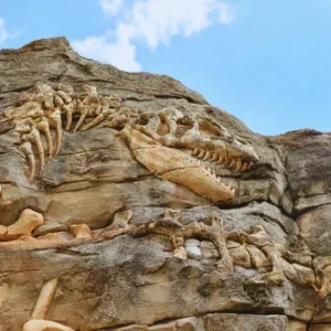 1763421900507-dinosaurus-berukuran-29-meter-di-china-1763364750125