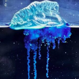 1763874472502-spesies-baru-1763716117047