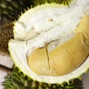1763982450837-10-durian-terbaik-dengan-tekstur-creamy-dan-rasa-unik-1760852085941