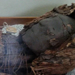 1764241602398-mumi-kuno-di-chile-1764230547955