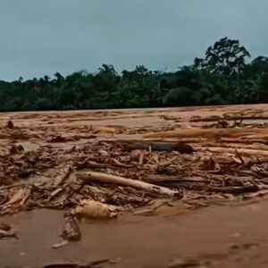 1764349740083-gelondongan-kayu-terbawa-arus-sungai-saat-banjir-di-sibolga-tapteng-tangkapan-layar-media-sosial-1764247927745