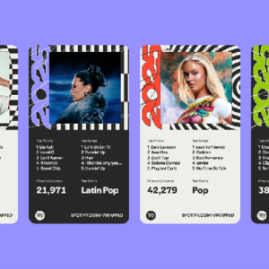 1765127284093-spotify-wrapped-2025-1764772559451_169