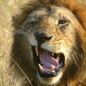 1765148697463-82c00736-f440-4c01-bc24-5e73106f3c7c_169