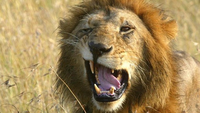 1765148697463-82c00736-f440-4c01-bc24-5e73106f3c7c_169